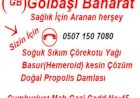 Gölbaşı Baharat