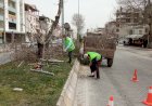 Gölbaşı ilçesinde ağaçlar budanıyor