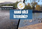 Gölbaşı Gölü'nde Kirlilik Alarmı: Doğal Güzellik Tehlike Altında