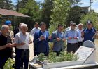 Kaymakam Algın ve protokol Şehit kabirlerini ziyaret etti