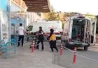 Ceviz ağacından düşen kişi yaralandı