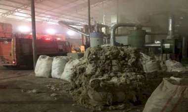 Pamuk fabrikasında yangın