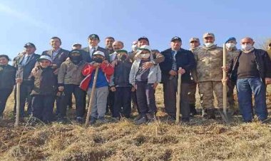 Gölbaşı ilçesinde fidanlar toprakla buluşturuldu
