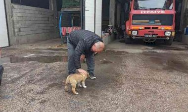 İtfaiye ekipleri yavru köpeği sahiplendi