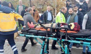 Otomobilin çarptığı 2 kardeş ağır yaralandı