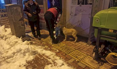 Gölbaşı itfaiyesi sokak hayvanlarını unutmadı