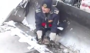 Ağaçta 2 gün mahsur kalan kedi kurtarıldı