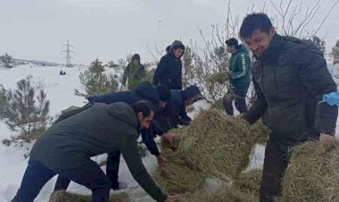 Öğrenciler yaban hayvanları için yem bıraktı