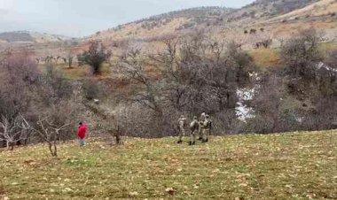 Kayıp olarak aranan adamın cesedi bulundu