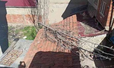 Kavak ağacı çatıya düştü