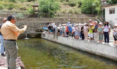 Lider' çocuklara balık üretimi anlatıldı