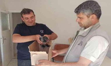 Yaralı karga tedavi altına alındı