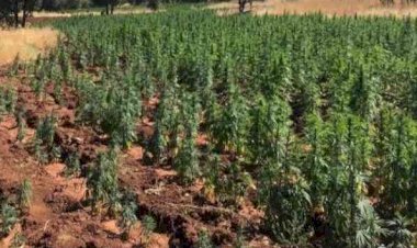 Jandarma uyuşturucuya geçit vermiyor