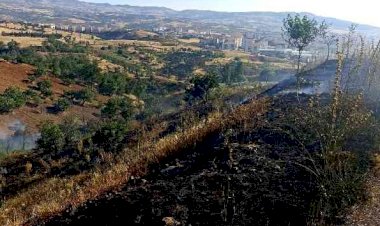 Piknikçiler yangına neden oldu