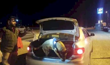 Gölbaşı'nda uyuşturucu denetimi yapıldı