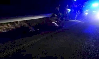 Otomobilin çarptığı keçiler telef oldu