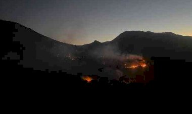 Adıyaman Gölbaşı'daki orman yangınına havadan ve karadan müdahale ediliyor