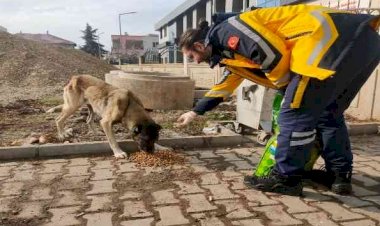 112 Personellerinden sokak hayvanlarına mama desteğ