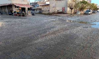 Soğuk hava buzlanmaya neden oldu