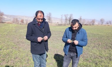 Gölbaşında Çiftçilerin kuraklık endişesi