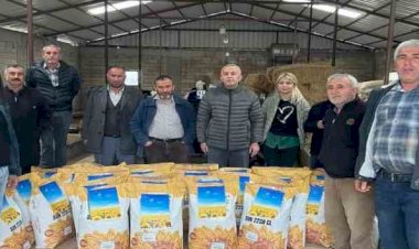 Deprem bölgesindeki çiftçilere ücretsiz ayçiçeği tohumu dağıtıldı