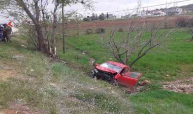 Ağaca çarpan otomobil şarampole yuvarlandı