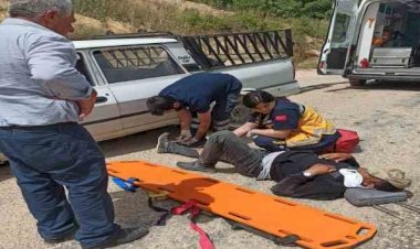 Adıyaman'da iki araç kafa kafaya çarpıştı: 2 yaralı