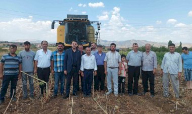 Kaymakam Seyhan ayçiçeği hasadına katıldı