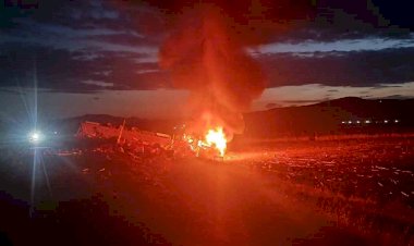 Kaza sonrası binlercesi yanarak telef oldu