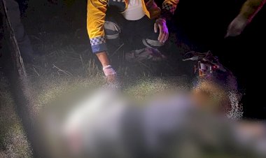 Arızayı gidermek isteyen tır şoförü, başka bir aracın çarpması sonucu hayatını kaybetti