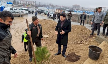 Konteyner kentte fidanlar toprakla buluşturuldu