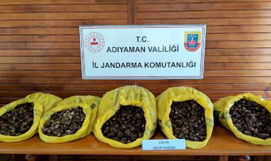 salep soğanını izinsiz toplayan 5 şahıs suçüstü yakalandı