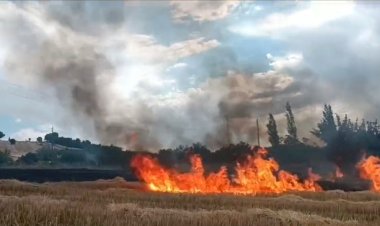 Anız yangını ormana sıçramadan söndürüldü
