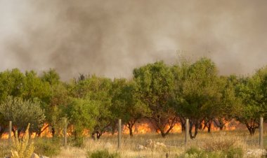 Adıyaman’daki orman yangınına müdahale sürüyor