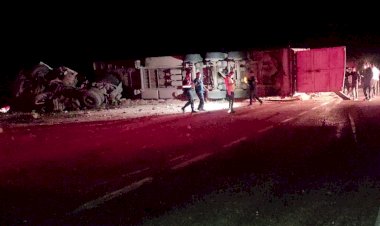 Koyun yüklü tır devrildi onlarca koyun telef oldu