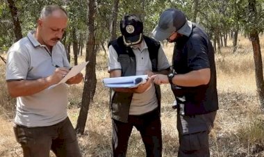 Gölbaşı’nda ormanların sağlığı araştırılıyor