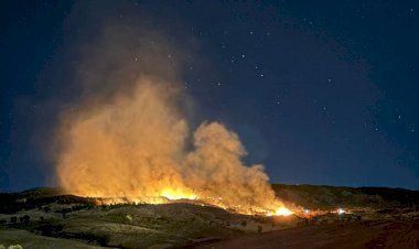 Gölbaşı’nda ormanlık alanda çıkan yangın korkuttu