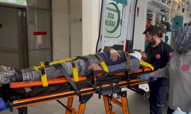 Kamyonet şarampole girdi: 3 yaralı