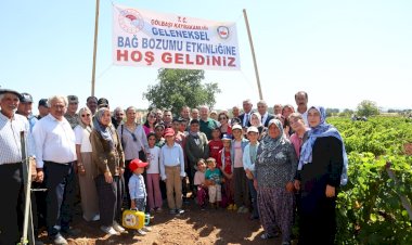 Gölbaşı’nda bağ bozumu heyecanı başladı