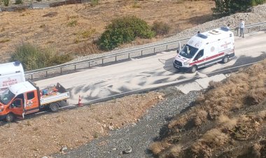 Kontrolden çıkan tırdan atlayan sürücü ve yanındaki kişi yaralandı ‎