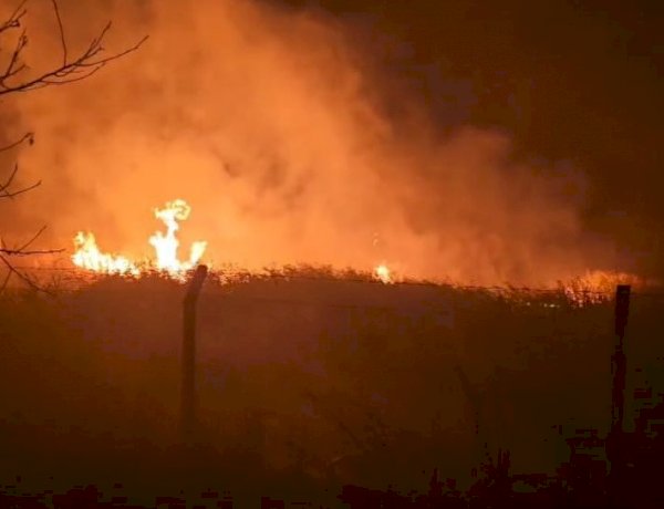 Sülüklü Göl’de kamışlar alev aldı