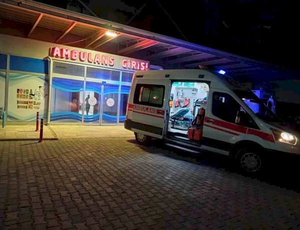 Hafif ticari araç yayaya çarptı: 1 ağır yaralı ‎