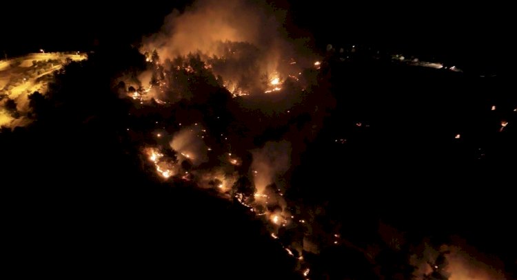 Adıyaman’daki orman yangınıyla ilgili bir şahıs tutuklandı