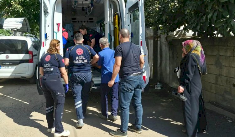 İncir ağacından düşerek yaralandı