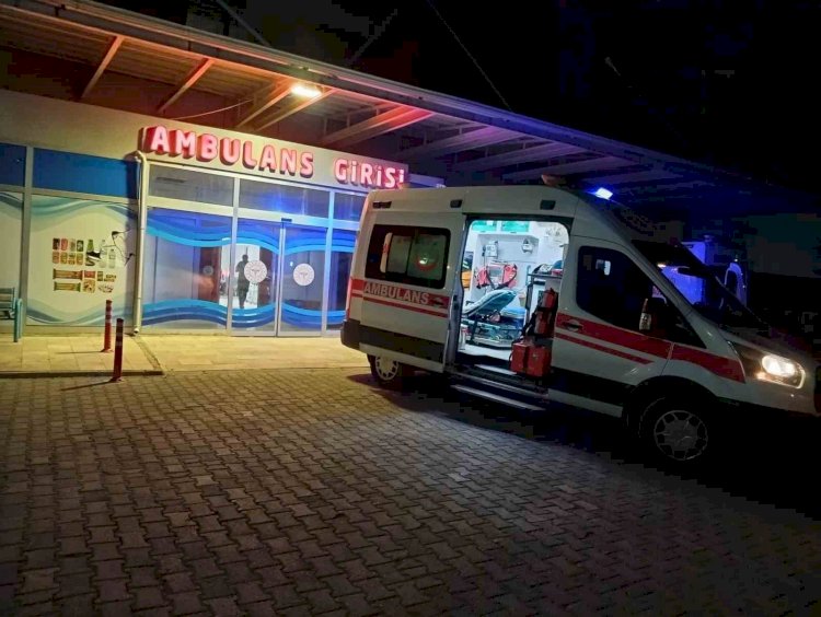Hafif ticari araç yayaya çarptı: 1 ağır yaralı ‎
